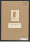 Amphora kittonii Lend.-Fortm. (de-Toni-Nr.: Genus 36, Species 1510) Zeichnungen Sammlung Grunow Nr. 2929 (NHMW-BOT-W0370274)